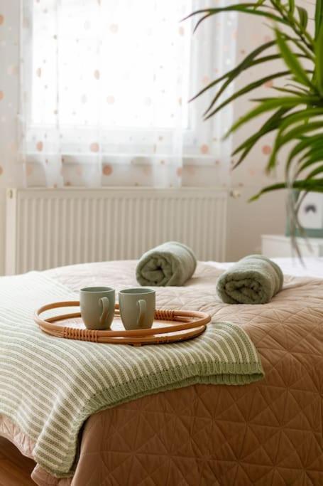 Family Lux Lounge In Voeroesmarty Street By Nw Apartment Budapest Ngoại thất bức ảnh